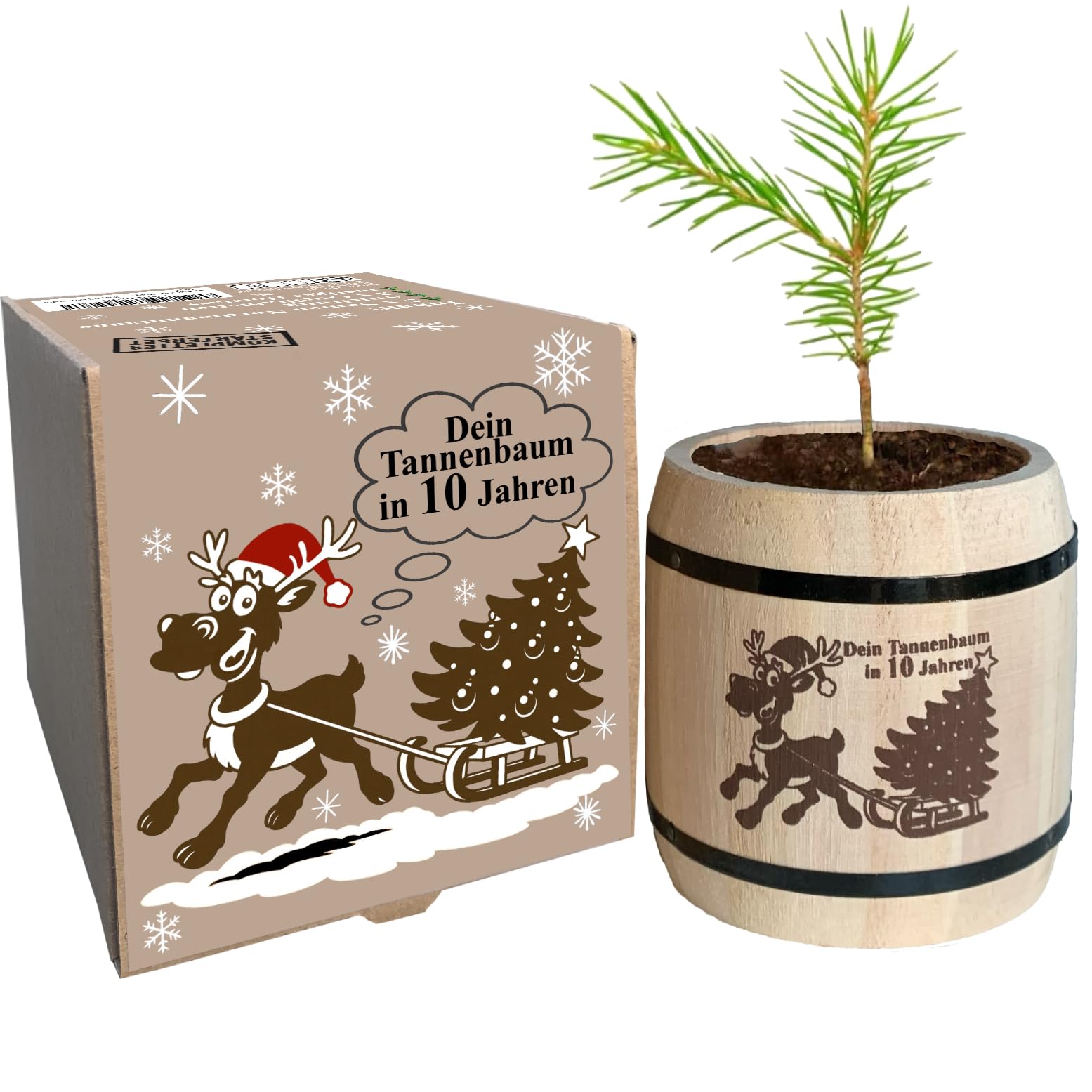 Wichtelgeschenk Weihnachtsbaum Anzuchtset - witziges Geschenk für Weihnachten, Nikolausgeschenk, Julklapp, Tannenbaum als komplettes Starter Set Angebot bei HelloDeals
