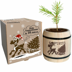 Wichtelgeschenk Weihnachtsbaum Anzuchtset - witziges Geschenk für Weihnachten, Nikolausgeschenk, Julklapp, Tannenbaum als komplettes Starter Set Angebot bei HelloDeals