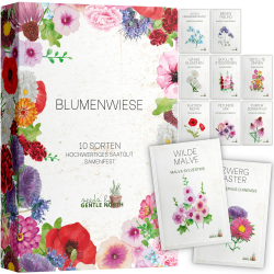 Blumen Samen Set - 10 bunte Blumensamen Sorten für den Garten oder Balkon, die Bienenweide und Wildblumenwiese - Blumenwiese Samen - bunte Wildblumensamen Mischung Klassisch Angebot bei HelloDeals