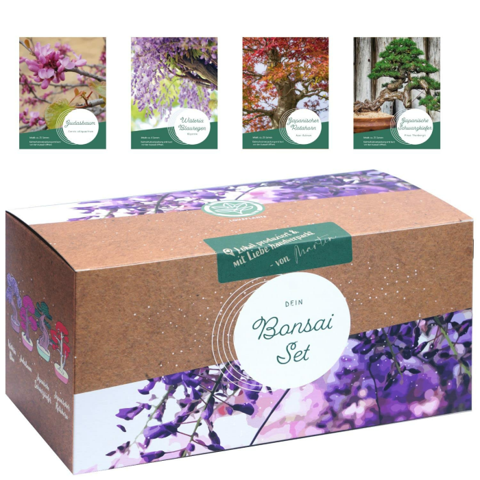 Bonsai Starter Kit – 4 außergewöhnliche Bonsai Samen für dein eigenes Bonsai Baum Projekt. Nachhaltiges & plastikfreies Bonsai Anzuchtset - einzigartiges Geschenk für Frauen und Männer. Bonsai Set Angebot bei HelloDeals