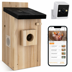 RAINBEAN Bird House with Camera,Nistkasten mit Kamera, 4 Millionen Pixel Outdoor-Vogelhaus-Kamera, Echtzeitbeobachtung des Nestbaus und der Brut von Vögeln, AI-Erkennung des Vogelverhaltens, DIY Angebot bei HelloDeals