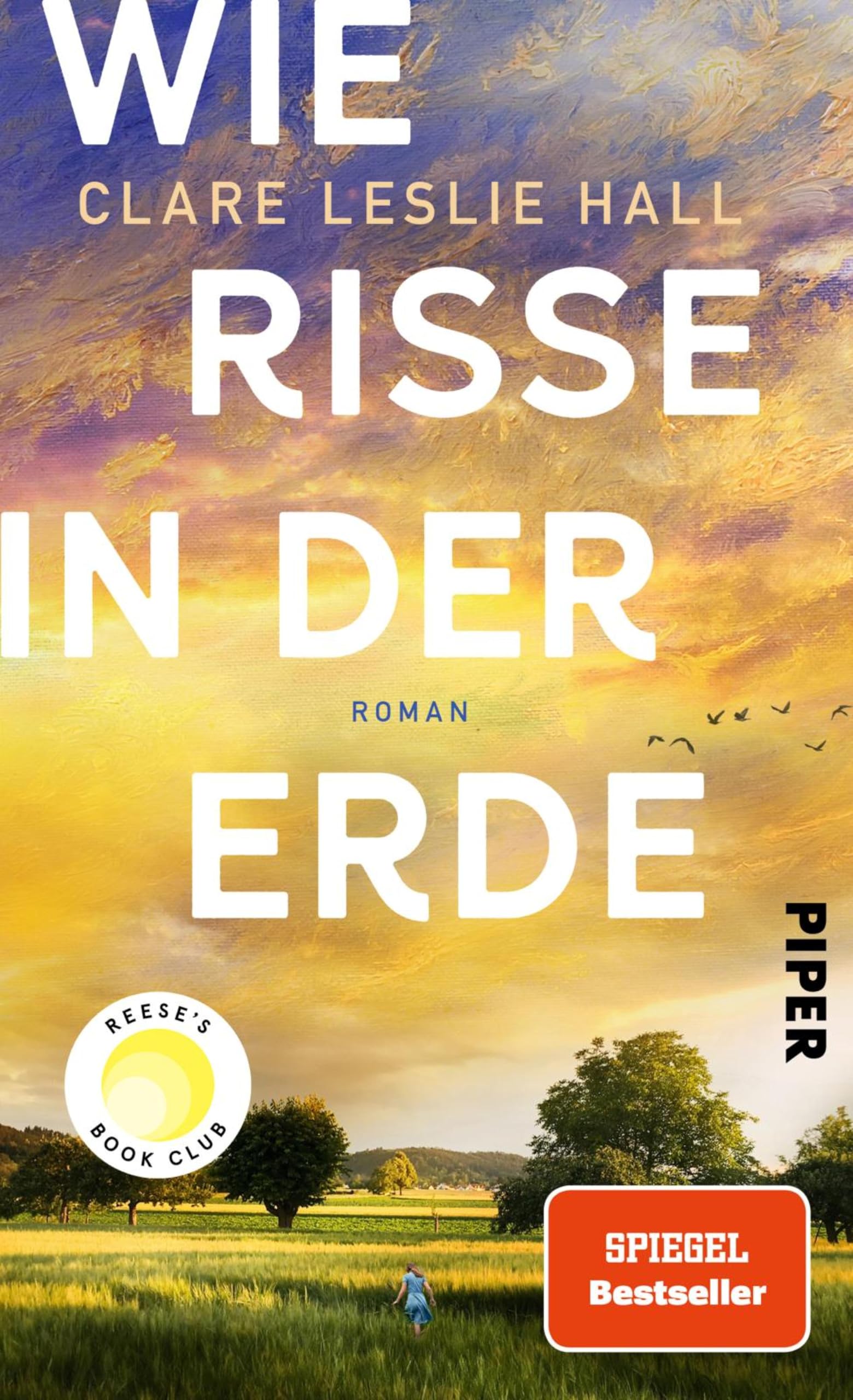 Wie Risse in der Erde: Roman | »Ein Buch, das man vielleicht nie in seinem Leben wieder vergisst.« Deutschlandfunk Kultur Angebot bei HelloDeals