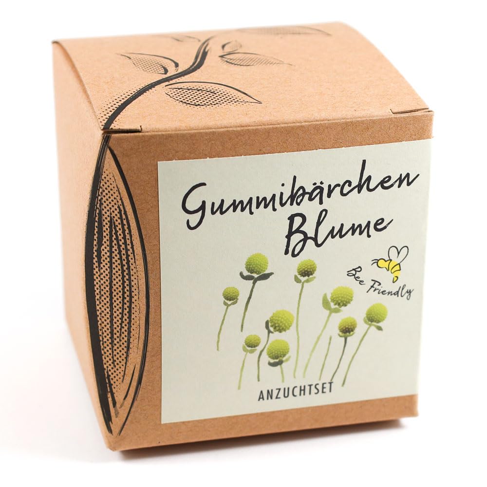Geschenk-Anzuchtset Gummibärchenblume Angebot bei HelloDeals