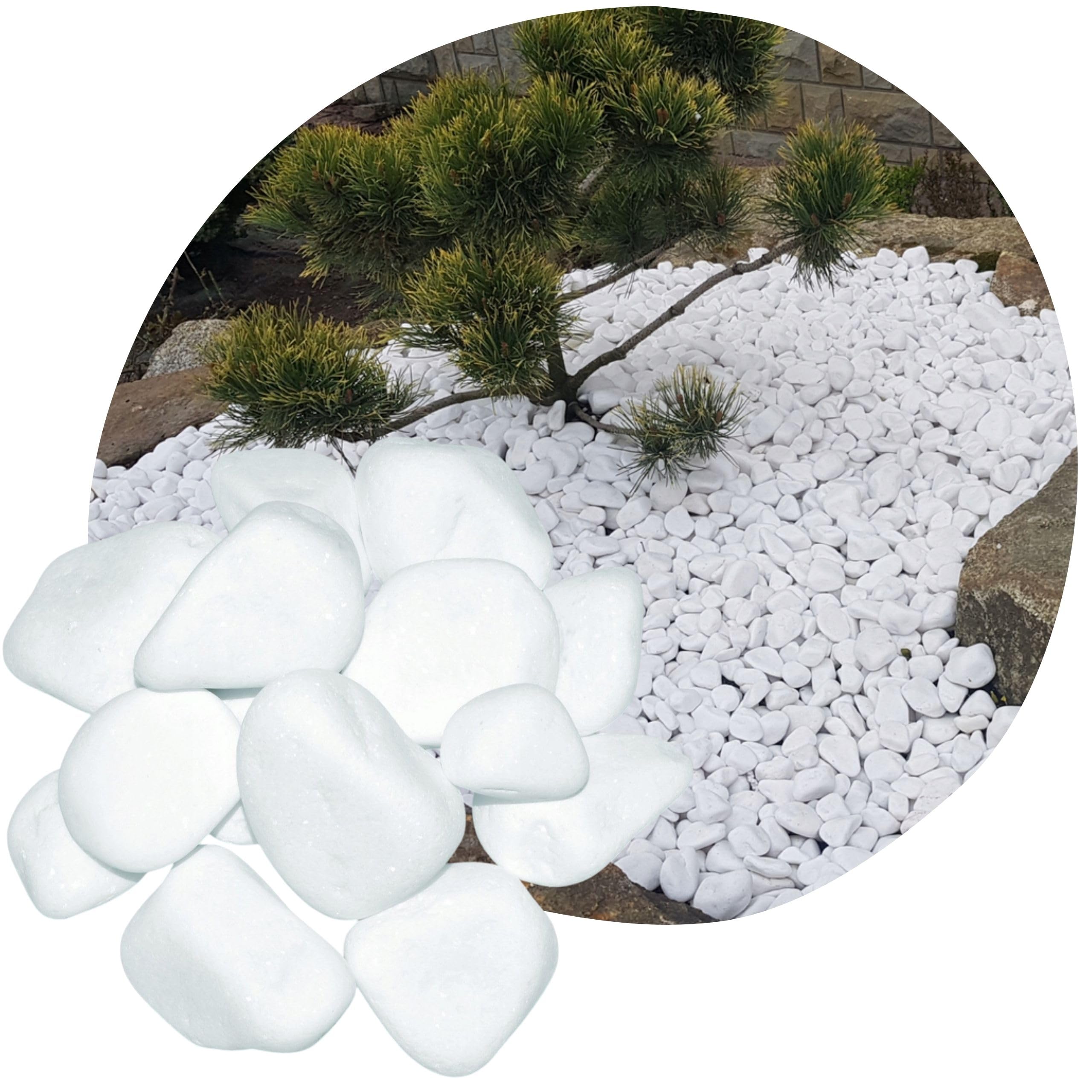 Thassos Weiße Marmor-Kieselsteine - Dekorativ Stein 0-1 cm - Gartendeko - Dekostein - Natürliche Gartendekoration aus Griechenland - Schneeweißer Glanz - Kieselsteine Weiss (0-1cm) 15kg Angebot bei HelloDeals