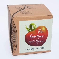 Geschenk-Anzuchtset Herztomate, seltene Gemüsesorte für Gärtner mit Herz Angebot bei HelloDeals