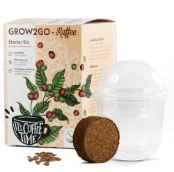 GROW2GO Dein eigener Zwergkaffee Strauch zum selber Pflanzen - Immergrüner Kaffeestrauch mit wunderschönen Blüten für die Anzucht von eigenen Kaffeebohnen (Anzuchtset) Angebot bei HelloDeals