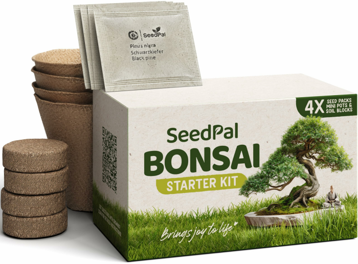 Bonsai Set - Bonsai Starter Kit - Bonsai Anzuchtset 4 versch. Bonsai Baum Samen - Geschenkset/Pflanzset inkl. Anleitung & Zubehör Angebot bei HelloDeals