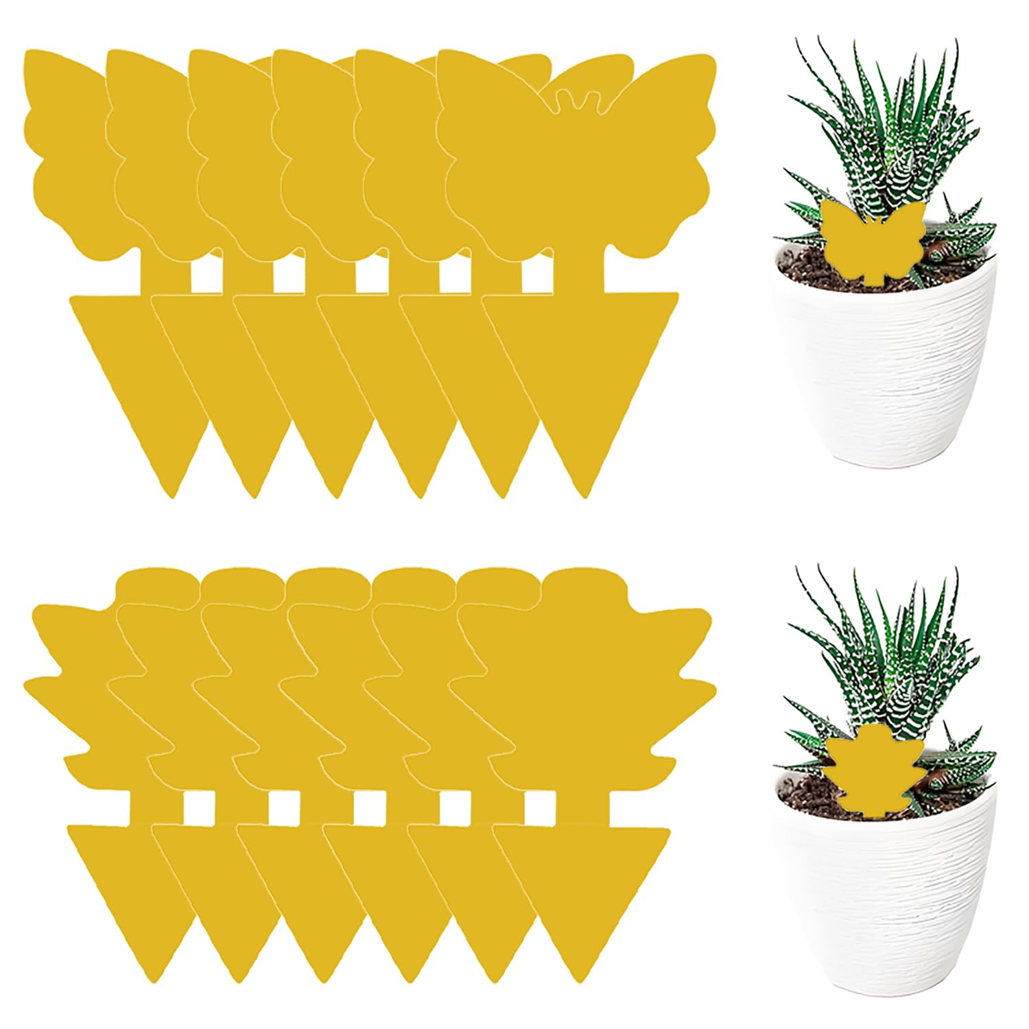 Trauermücken Bekämpfen mit Gelbsticker (12 Stück), Gelbsticker Trauermücken, Für die Zimmerpflanzen Schädlingsbekämpfung, Gelb, Schmetterling+Sukkulent Angebot bei HelloDeals