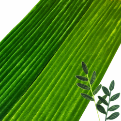 200 Stück Pfeifenreiniger Grün 300x6mm, Pfeifenputzer zum Basteln Kreative DIY Weihnachtsbaum Blumen Tier Dekorationen Angebot bei HelloDeals