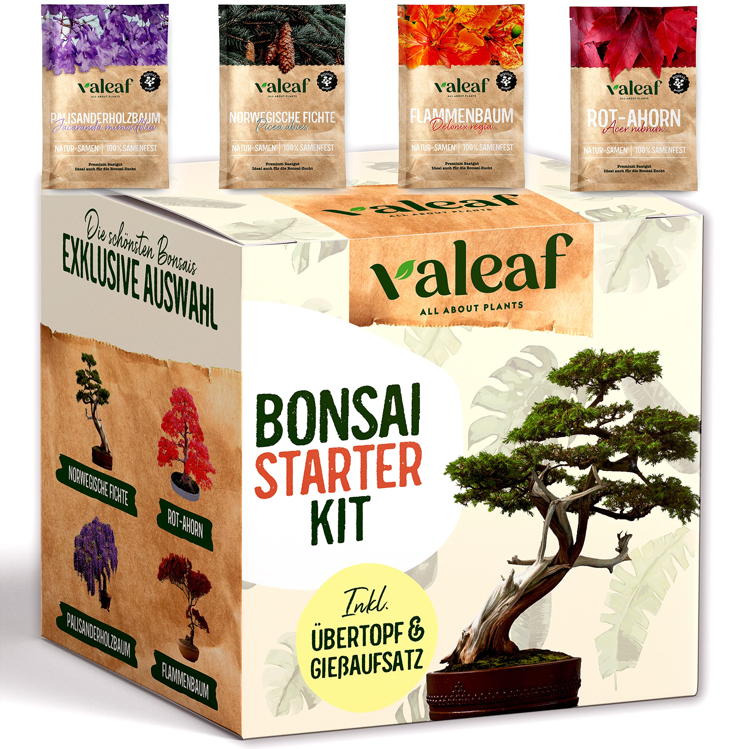 Bonsai Starter Kit I Bonsai Anzuchtset Geschenk für deinen Bonsai Baum I Zimmerpflanzen Anzuchtset inkl. 4 Sorten Bonsai Samen, Zubehör u. Bonsai-Schale I Saat Geschenk zum Baum pflanzen Angebot bei HelloDeals