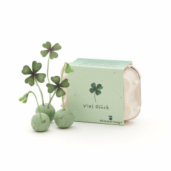 Wachsender Glücksbringer l 6 grüne Saatkugeln mit Glücksklee-Saatgut im Mini-Eierkarton l "Viel Glück"-Geschenk für Prüfungen, Abschluss und andere Anlässe, bei denen man Glück gebrauchen kann Angebot bei HelloDeals