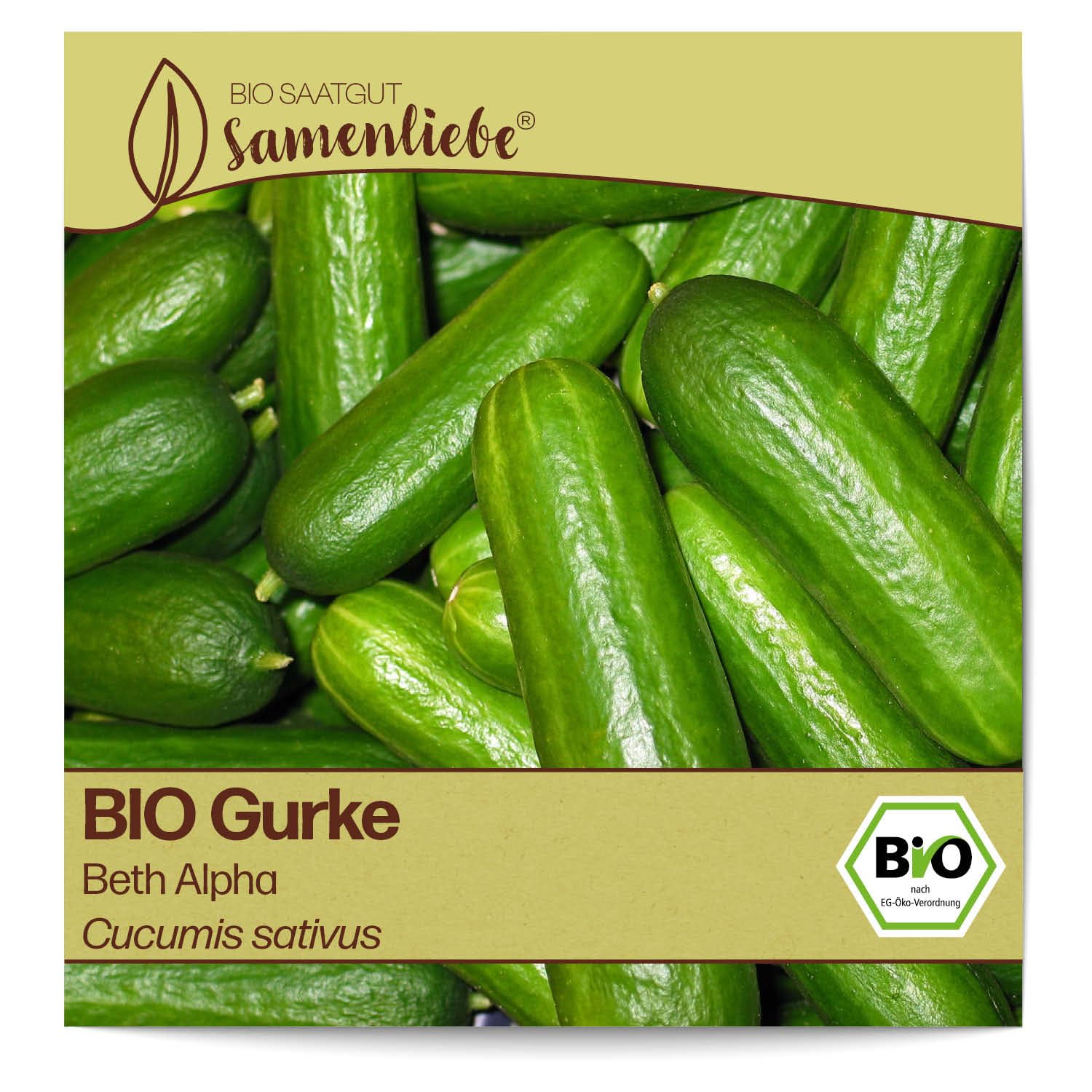 Samenliebe BIO Gurken Samen alte Sorte Beth Alpha Salatgurke Snackgurke grün 10 Samen samenfestes Gemüse Saatgut für Gewächshaus Freiland und Balkon BIO Gemüsesamen Angebot bei HelloDeals