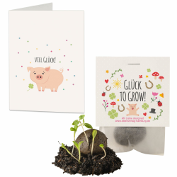 10x "Glück to grow" Samenbomben & Geschenkkarten Set | kleine Glücksbringer & Mini Geschenke | Saatbomben Gastgeschenk | Neujahrsglücksbringer | kleine Aufmerksamkeit für Kollegen Angebot bei HelloDeals