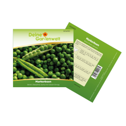 Markerbsen Bördi Samen - Pisum sativum - Erbsensamen - Gemüsesamen - Saatgut für 50 Pflanzen Markerbse Bördi Angebot bei HelloDeals