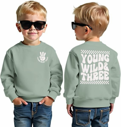 BOUTIKOME 3. Geburtstag Jungen Sweatshirt Young WILD&Three Drucken Pullover Geschwister Kinder Langarmshirt Baby Outfits Dritten Geburtstags Pulli Herbst Winter Babykleidung 3 Jahre Grün Angebot bei HelloDeals