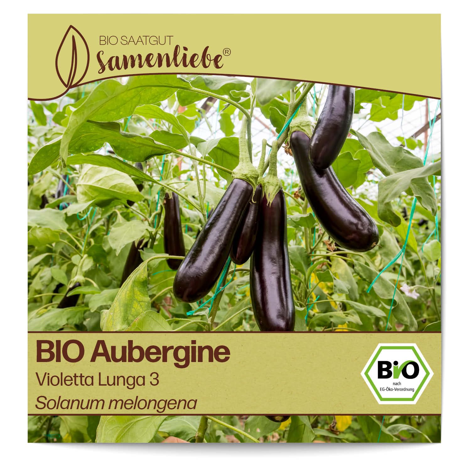 Samenliebe BIO Auberginen Samen alte Sorte Violetta Lunga 3 Eierfrucht lange Melanzani violett schwarz 10 Samen samenfestes Gemüse Saatgut für Gewächshaus Freiland und Balkon BIO Gemüsesamen Angebot bei HelloDeals