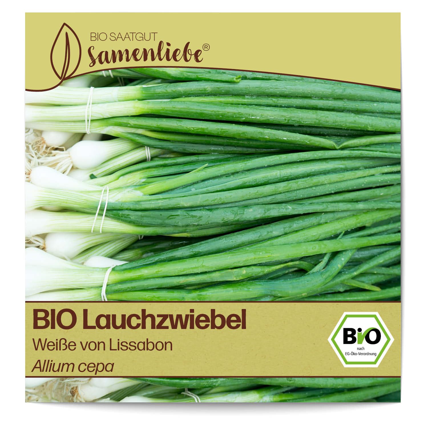 Samenliebe BIO Lauchzwiebel Samen Weiße von Lissabon 200 Samen samenfestes Gemüse Saatgut für Gewächshaus Freiland und Balkon BIO Gemüsesamen Angebot bei HelloDeals