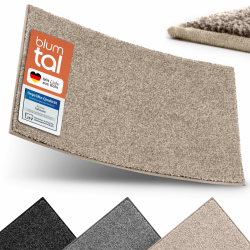 Blumtal Fußmatte 50x80 cm - Mikrofaser Schmutzfangmatte mit wasserdichter TPR-Rückseite - rutschfeste Fussmatte innen - Schmutzmatte aus Hochleistungs-Mikrofaser - Türvorleger in Beige Beige 50 x 80 cm (Rechteckig) Angebot bei HelloDeals