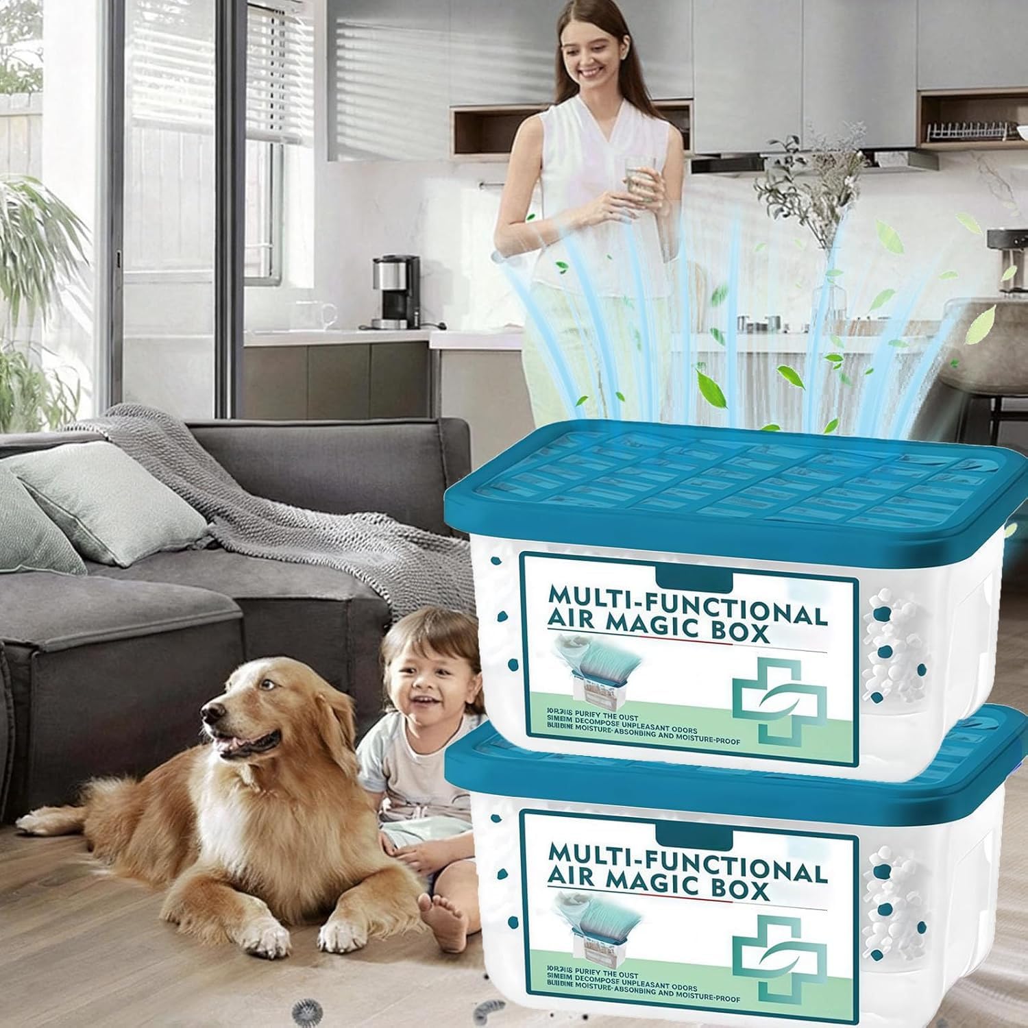 2 Stück Multi-Functional Air Magic Box – Luftreinigungsbox Mit Staubentfernung Für Innenräume, Automatischer Staubfänger, Pflanzenbasiert, Stromlos Für Zuhause & Büro, Schlafzimmer, Haustierbereiche Angebot bei HelloDeals