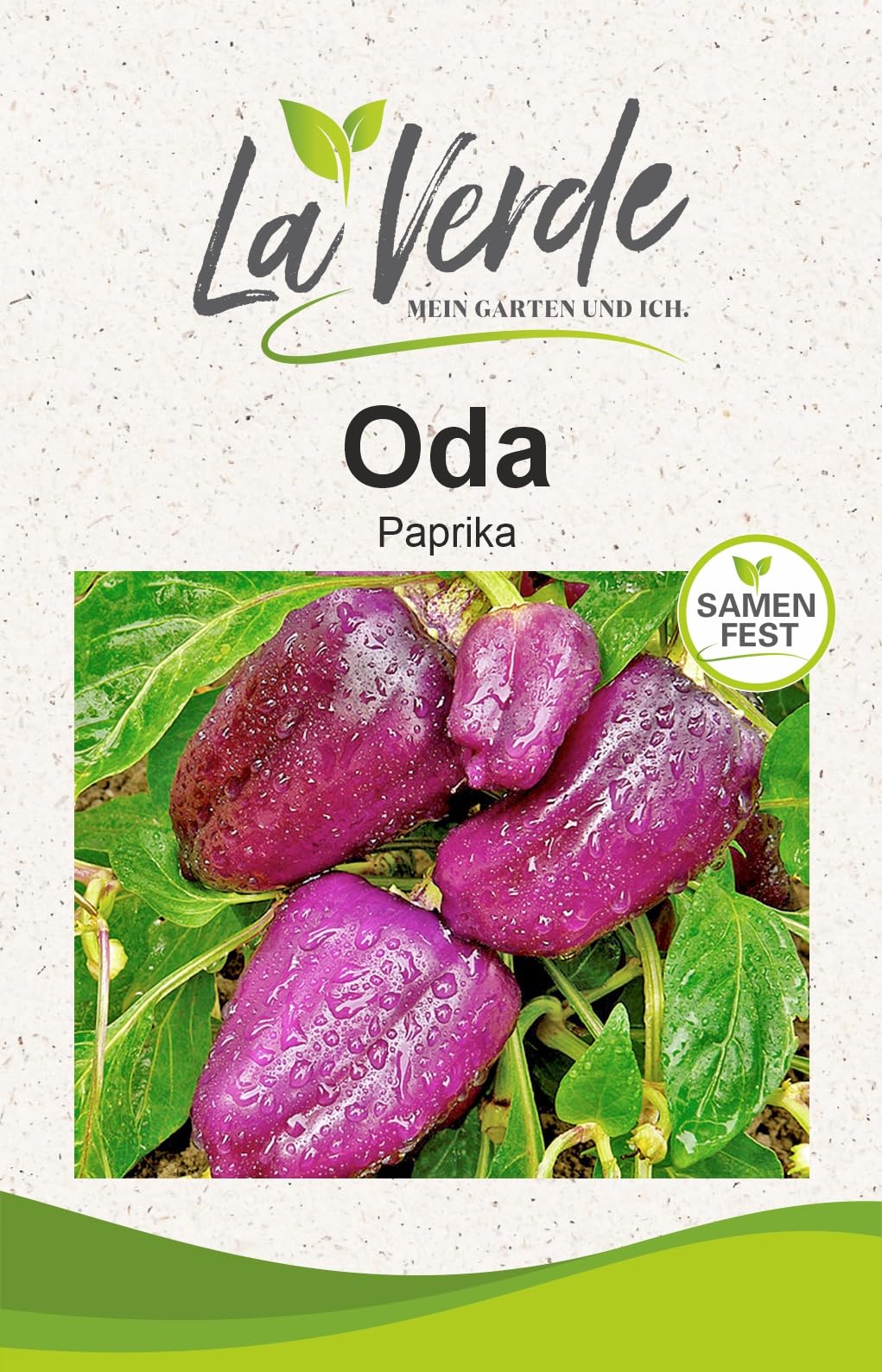 La Verde MEIN GARTEN UND ICH. Oda Paprika Samen für ca. 8–10 Pflanzen, milde Blockpaprika, kompakt wachsend, Saatgut ohne Gentechnik Paprika Oda Angebot bei HelloDeals