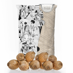 Mohnkapseln, Poppy Pods | Klein & ohne Stiel | Getrocknet | Bastelzubehör & Deko (Große Mohnkapseln, 250g) Große Mohnkapseln 250g Angebot bei HelloDeals