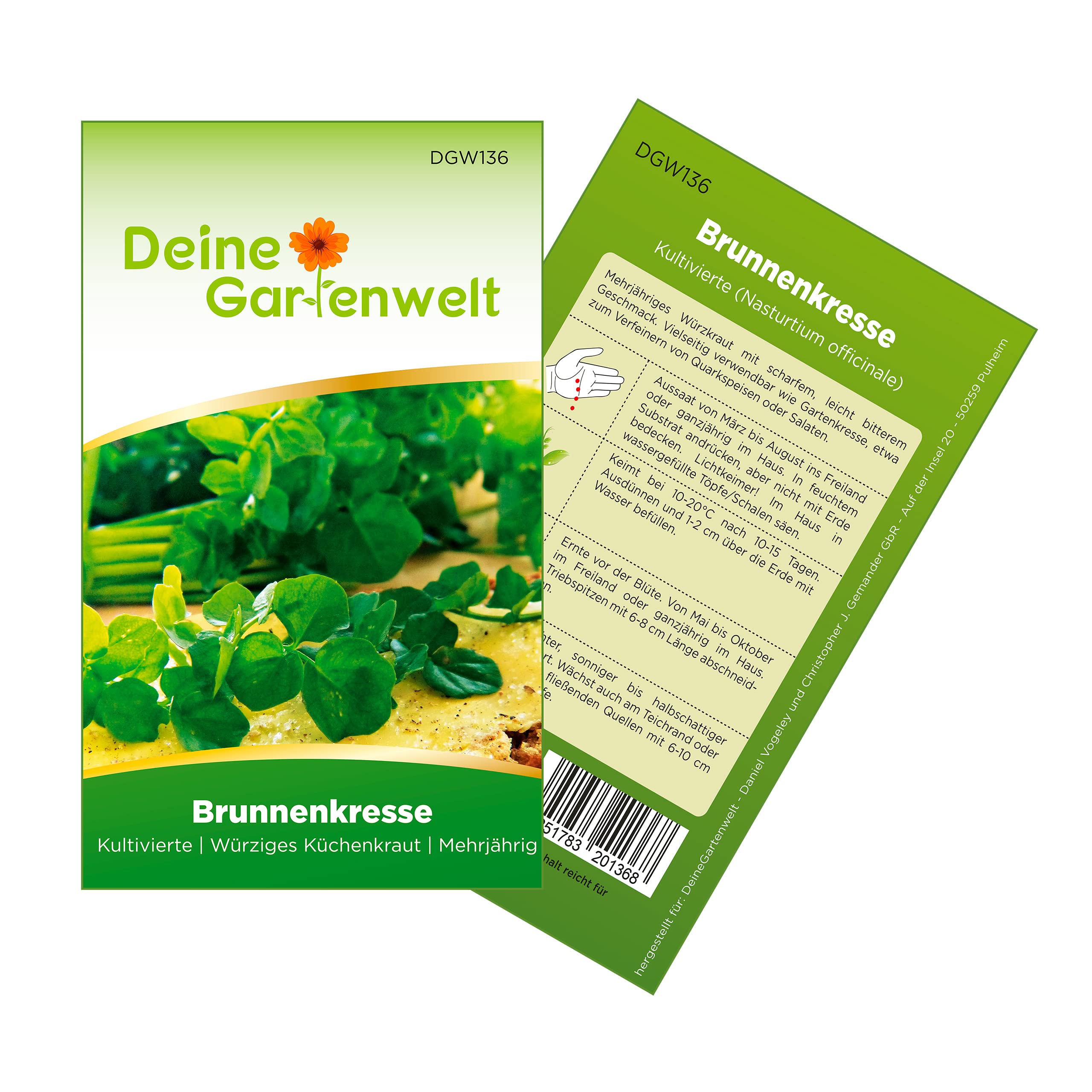 Brunnenkresse Kultivierte Samen - Nasturtium officinale - Brunnenkressesamen - Gemüsesamen - Saatgut für 1.000 Pflanzen Angebot bei HelloDeals