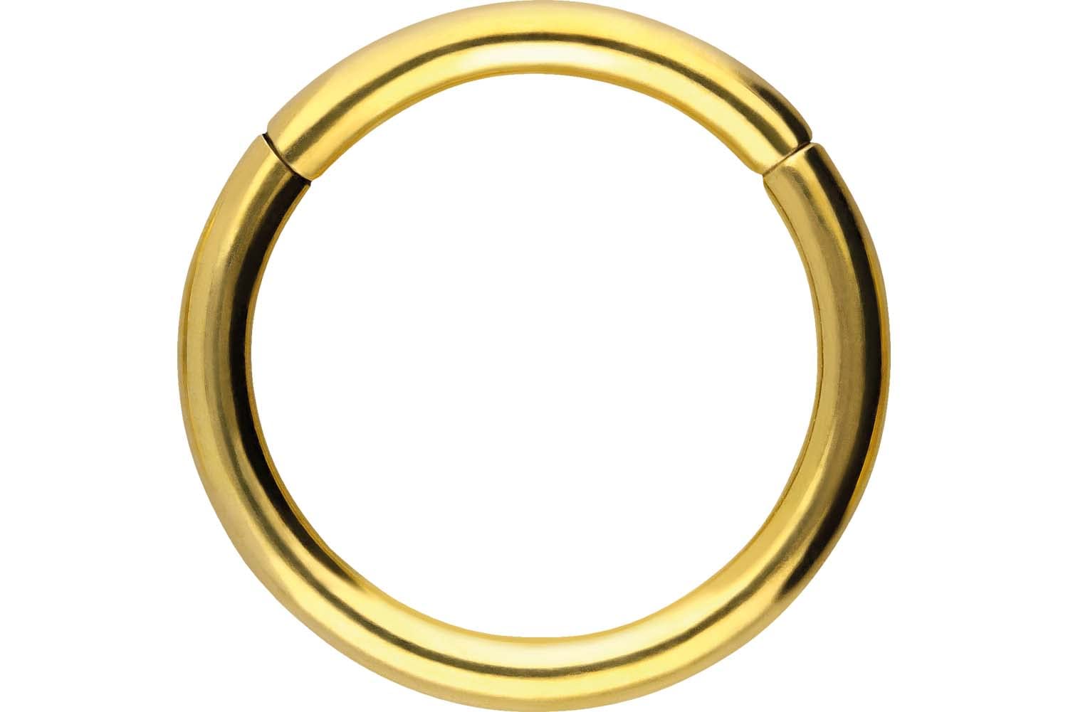PIERCINGLINE Segmentring Clicker aus Chirurgenstahl - Piercing Ring in Gold, Silber, Rose, Schwarz oder Blau - für Nase, Septum, Ohr, Helix oder Tragus Goldfarben 0,8 mm Stabstärke | 6 mm Innendurchmesser Angebot bei HelloDeals
