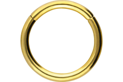 PIERCINGLINE Segmentring Clicker aus Chirurgenstahl - Piercing Ring in Gold, Silber, Rose, Schwarz oder Blau - für Nase, Septum, Ohr, Helix oder Tragus Goldfarben 0,8 mm Stabstärke | 6 mm Innendurchmesser Angebot bei HelloDeals