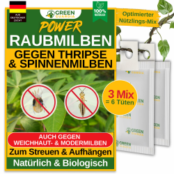 Raubmilben-Mix gegen Thripse & Spinnmilben – GREEN GUARDIA | 3-Mix mit 6 Tüten | Biologische Schädlingsbekämpfung für Pflanzen 3 Mix mit 6 Tüten Angebot bei HelloDeals