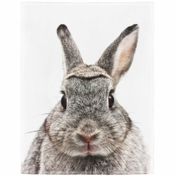 Bedruckte Kuscheldecke Niedlich Braun Hase Decke Flauschig Weich Fleecedecke 150x200 cm 150 x 200 cm Angebot bei HelloDeals