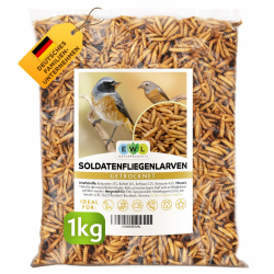 Soldatenfliegenlarven getrocknet 1 kg (6,5 L), Vogelfutter, Fischfutter, Schildkrötenfutter, Igelfutter mit Insekten Soldatenfliegenlarven 1 kg (1er Pack) Angebot bei HelloDeals