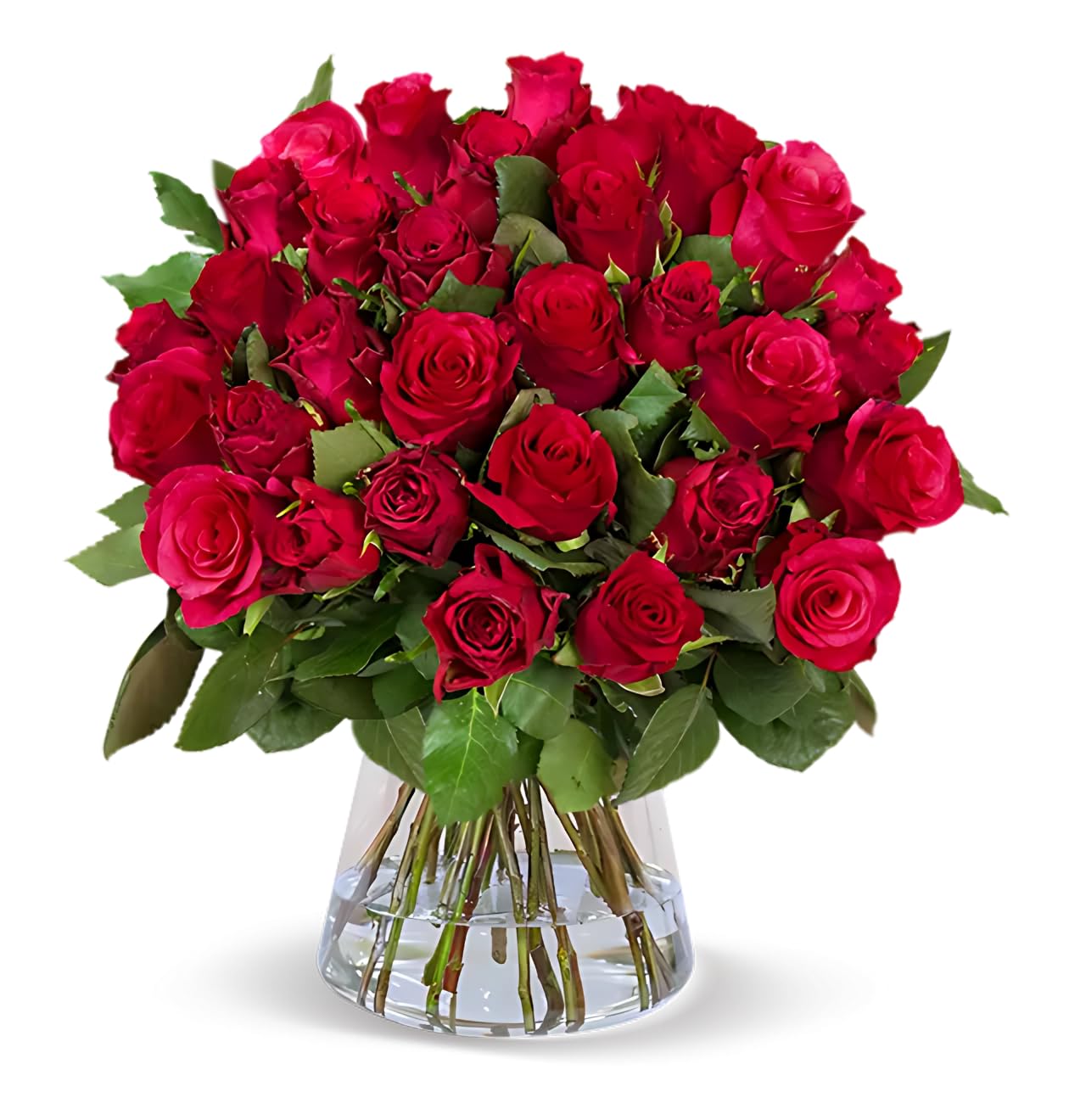 Blume Ideal Rosenstrauß | 20 rote Rosen zum Valentinstag | Ø 40–50 cm | Premium Rosen von Floristen | Top Qualität | 7-Tage-Frischegarantie | Ideales Blumengeschenk Valentinstag Rot 20 Angebot bei HelloDeals