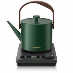 Arendo - Edelstahl Wasserkocher mit Temperatureinstellung 40-100 Grad - digitale Basis - 0,6 Liter - Teekocher mit Temperaturanzeige - BPA frei - Warmhaltefunktion - schwarz grün A: Grün Angebot bei HelloDeals