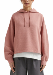 QS Sweatshirt mit Strukturmuster und Kapuze Angebot bei HelloDeals