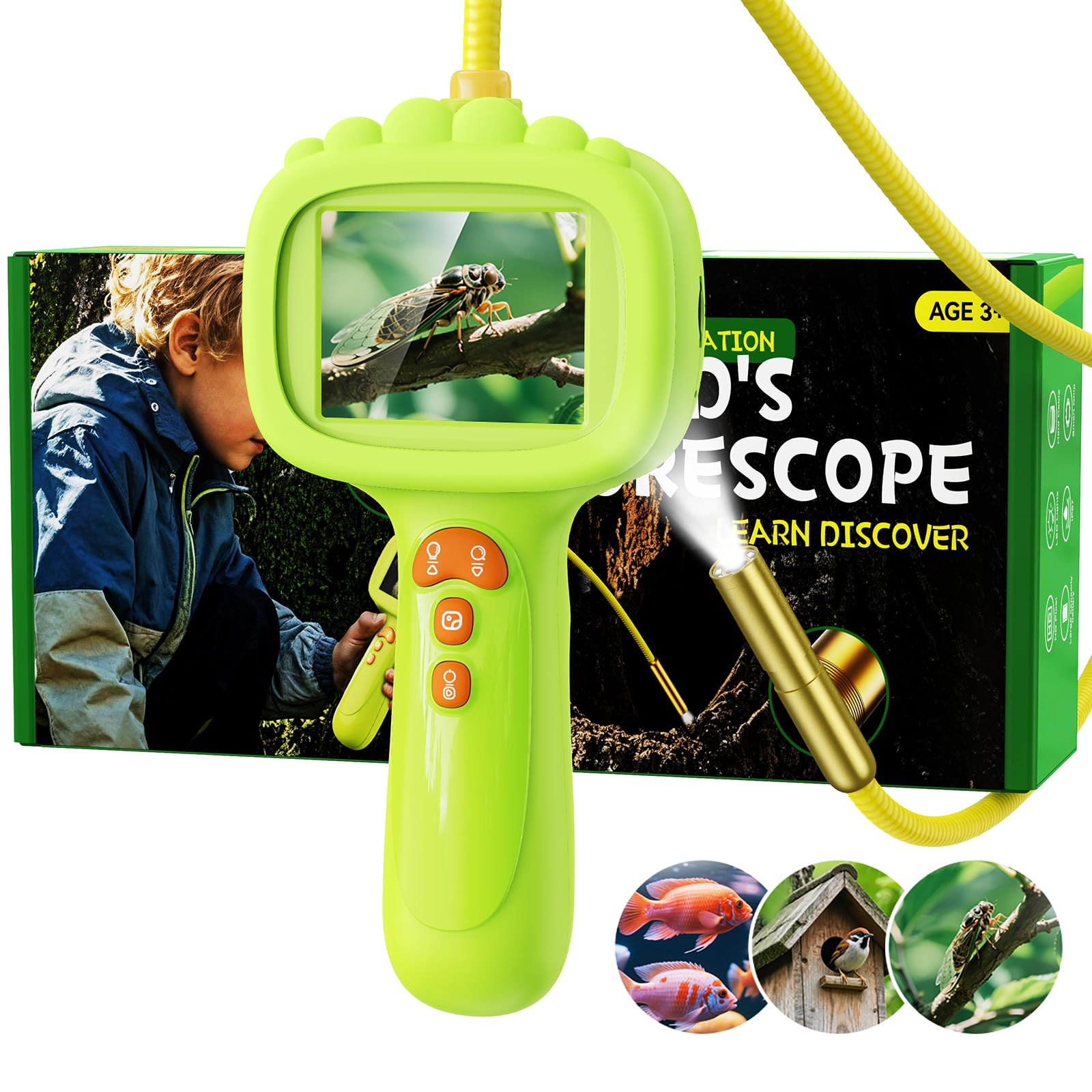 Endoskopkamera für Kinder, Ashfly 1080P Kinder Kamera, STEM Spielzeug für Outdoor Garten Camping Natur Entdecken, Geburtstagsgeschenk für 4 5 6 7 8 9 10 Jahre Jungen und Mädchen (Grün) Green Angebot bei HelloDeals