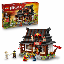 LEGO NINJAGO 15-jähriges Jubiläum der Vier-Waffen-Schmiede - Ninja Haus Spielzeug mit sammelbarer Minifigur und Sammelkarten - Nostalgisches Geschenk für Jungen ab 14 Jahren und erwachsene Fans- 71858 Angebot bei HelloDeals