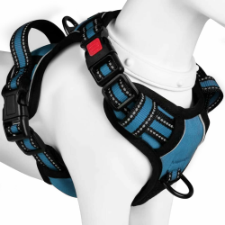 BaoCheng Hundegeschirr Anti Zug Hundegürtel,Kleine/mittlere/große Hunde,Atmungsaktives Mesh, Einfaches Be-und Entladen,3 Schnallen, Sicherheit,Entlastet Husten,Reflektierend(Dunkelgrün,M) M Dunkelgrün Angebot bei HelloDeals