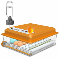 Brutautomat Vollautomatisch 36 Eier mit Temperaturregelung, Brutmaschine mit 5 automatischen Brutmodi, Inkubator Feuchtigkeitsanzeige, Brutkasten automatischer Wasserauffüllung und Eierwende Angebot bei HelloDeals