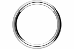 PIERCINGLINE Segmentring Clicker aus Titan - Piercing für Nase, Septum, Ohr, Helix oder Tragus Silberfarben 0,8 mm Stabstärke | 7 mm Innendurchmesser Angebot bei HelloDeals
