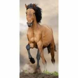 Jerry Fabrics Horse Beach Towel Brown, Badetuch, Strandtuch, Pferdemotiv, Hengst, 70 cm x 140 cm, 100% Baumwolle Angebot bei HelloDeals