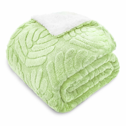 Whale Flotilla Decke Kuscheldecke, Leichte, Umkehrbare Sherpa Fleecedecke, Flauschige Sofadecke Wohndecke für Ganzjahreszeiten, Weich und Warm, 150x200 cm, Hellgrün Hellgrün 150 x 200 cm Angebot bei HelloDeals