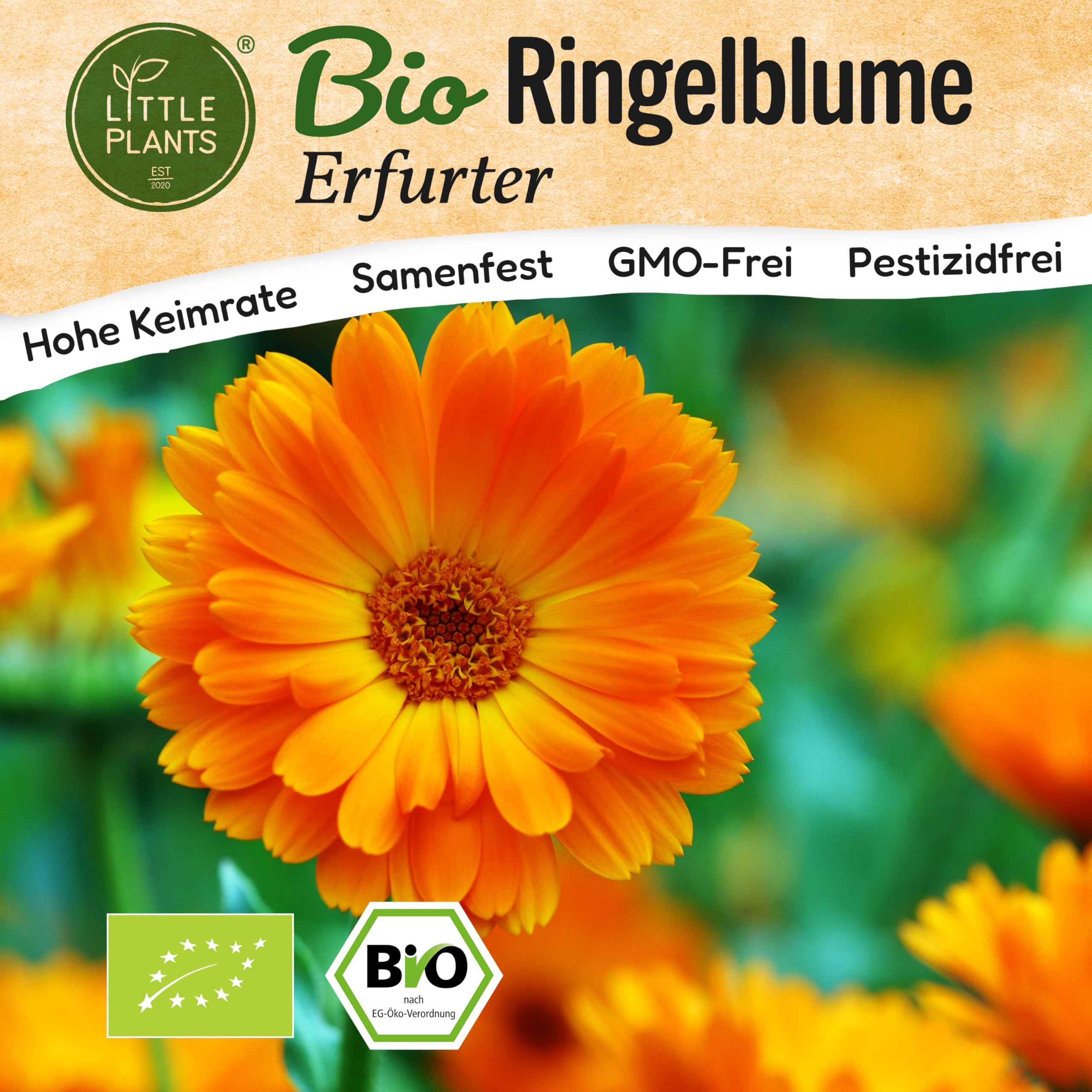 BIO Ringelblume Samen 120 Ringelblumesamen Erfurter Calendula Blumensamen Samenfest für Blumengarten Blumen Samen für Balkon und Garten Ringelblume 'Erfurter' Angebot bei HelloDeals