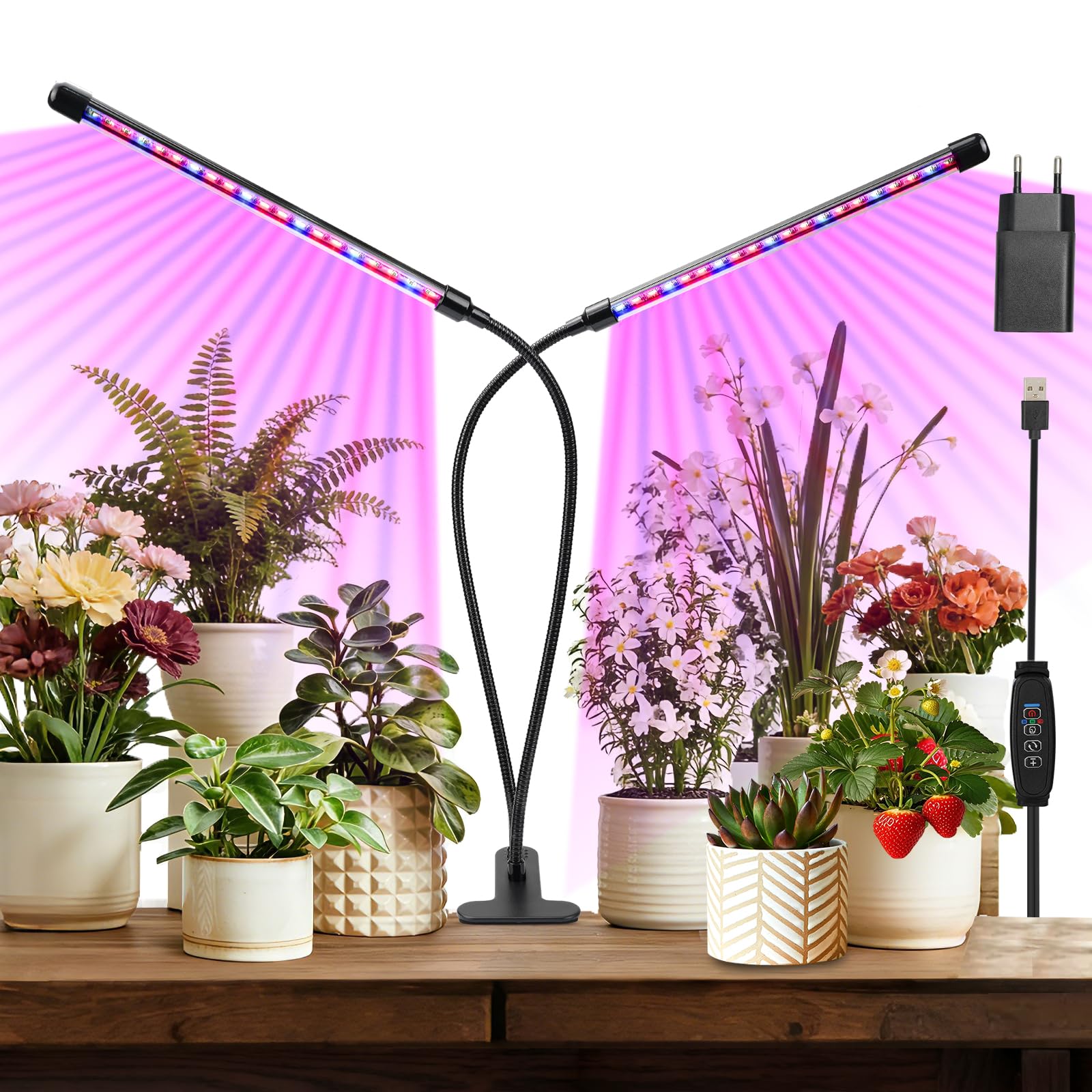 Pflanzenlampe LED Vollspektrum Grow Light mit Timer & 10-Stufig Dimmbar – Hoher PPFD für Hydroponik, Indoor-Garten, Blumen und Gemüse | Ideal für Keimung, Wachstum & Blüte | Energiesparend 8 W Angebot bei HelloDeals