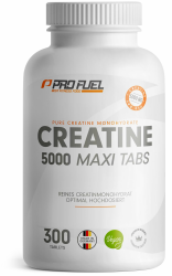 Creatin Tabletten 300x - optimal hochdosiert mit 5685 mg Creatin-Monohydrat, davon 5000 mg Creatin - vegane Kreatin-Tabletten - laborgeprüft mit Zertifikat - Vorrat für 60 Tage 1x 300 Tabletten Angebot bei HelloDeals